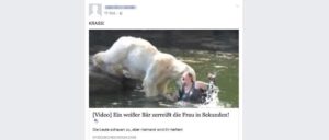 Facebook Video Abofalle