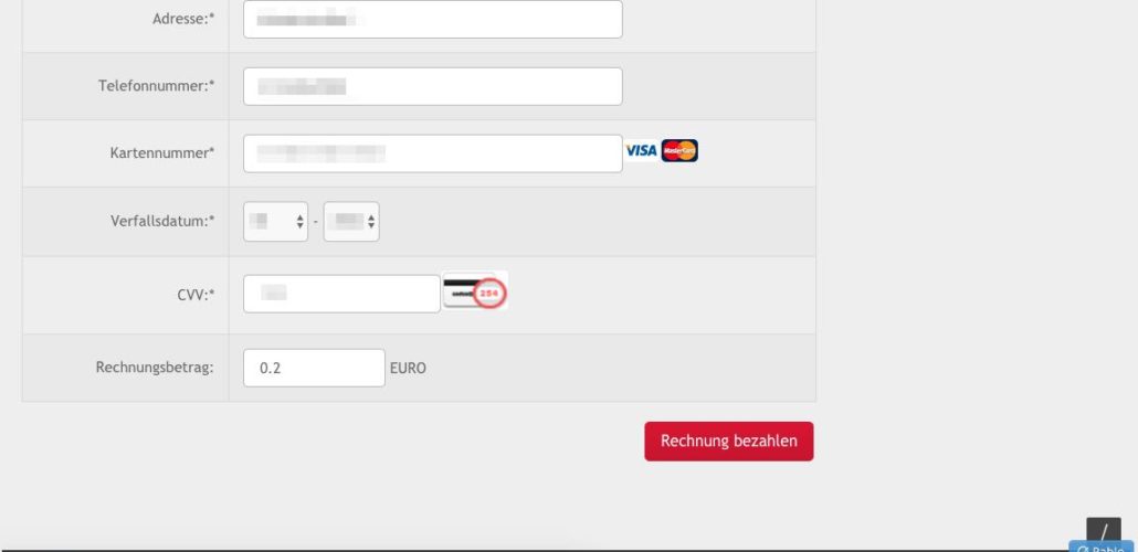 Das ist der zweite Teil der Webseite, wo Sie Ihre Kreditkartendaten eingeben sollen. (Screenshot)