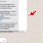 WhatsApp Nachrichten weiterleiten - Browser