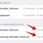 Mobile Datennutzung im Blick- Anleitung für das iPhone