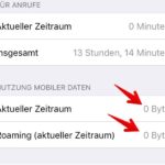 Mobile Datennutzung im Blick- Anleitung für das iPhone