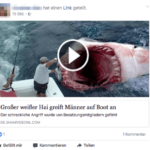 Facebook Video Haiangriff