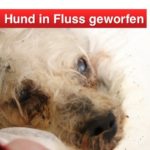 2019-01-04 Zeugenaufruf Hund in Fluss geworfen