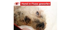 2019-01-04 Zeugenaufruf Hund in Fluss geworfen