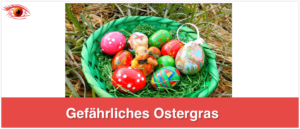 Ostergras Gefahr