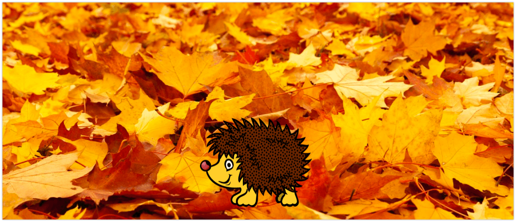Symbolbild Herbst