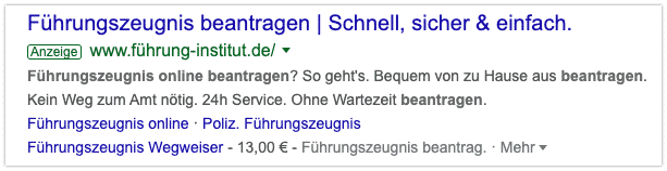 führung-institut.de Google Anezige