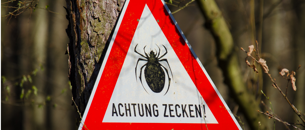 Zecken Warnung Zecken Warnung