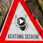 Zecken Warnung