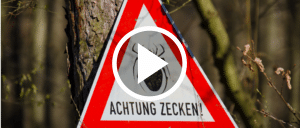 Zecken Warnung