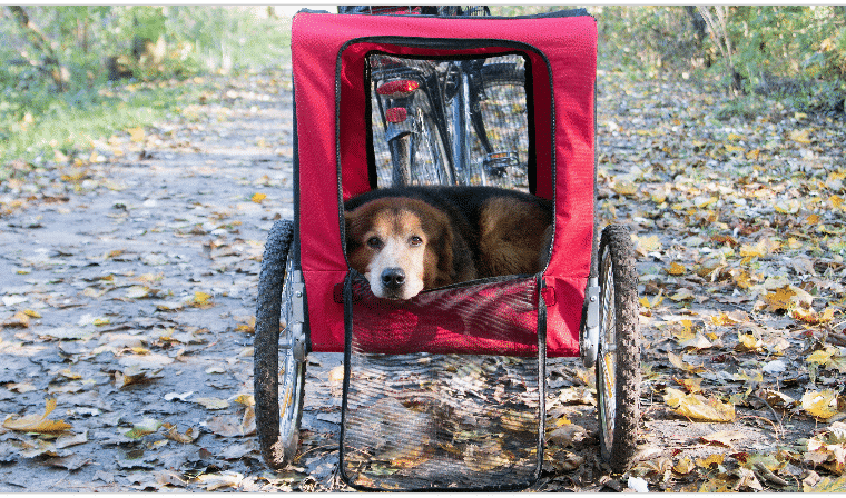 Fahrradanhaenger Symbolbild
