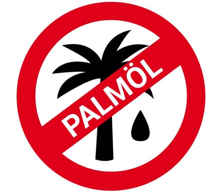 Palmölplantagen
