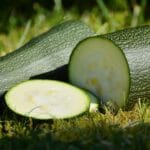 Garten-Zucchini