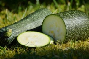 Garten-Zucchini