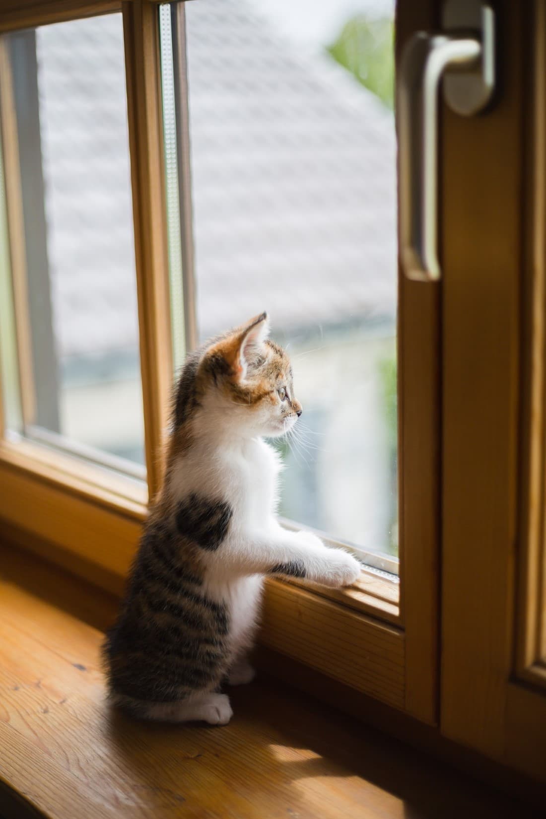 Fenster dämmen ᐅ Rüsten Sie sich gegen Kälte, Hitze & Lärm